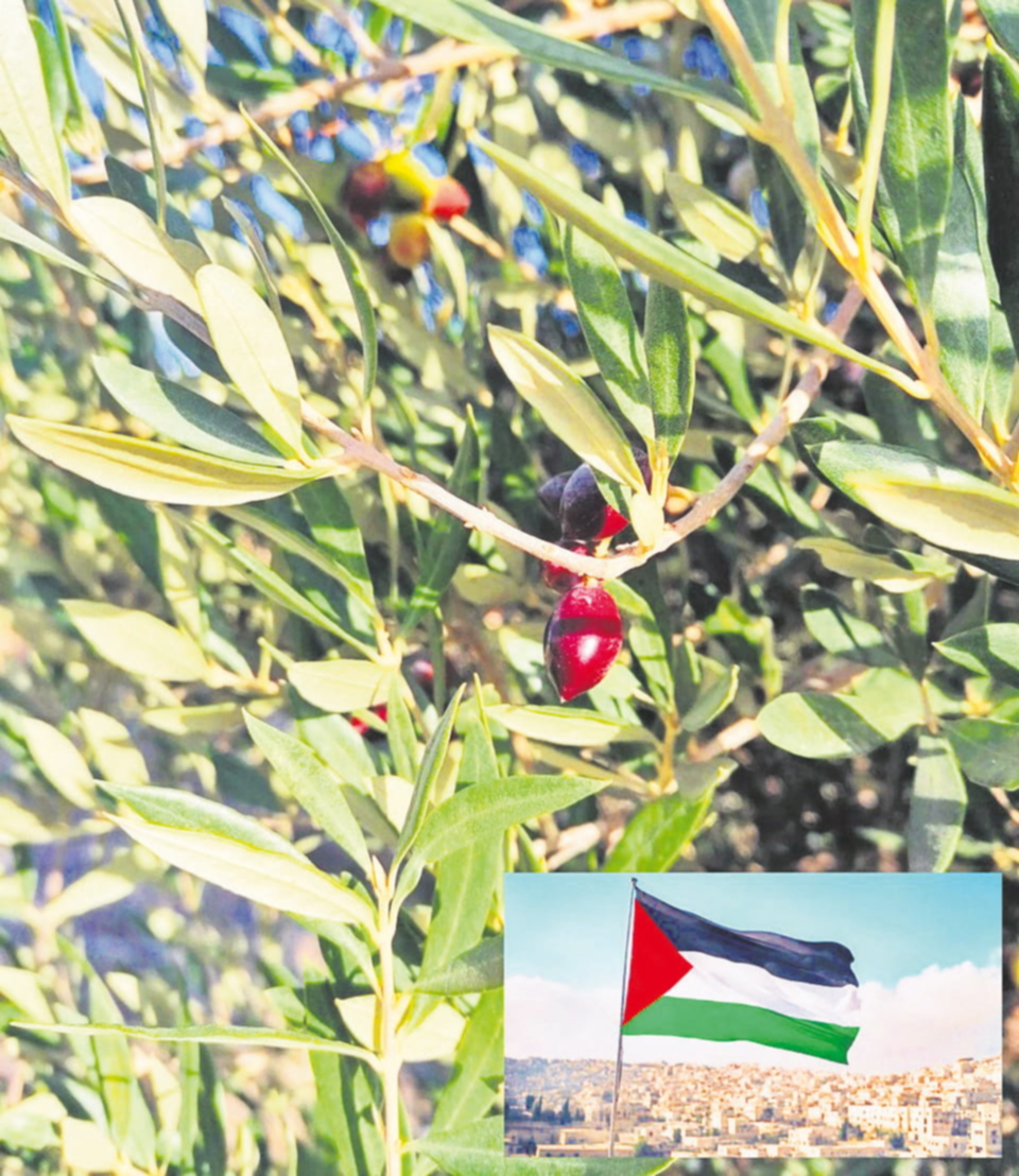 P10166310_AfdN_01_2026 19-1_rgb.jpg