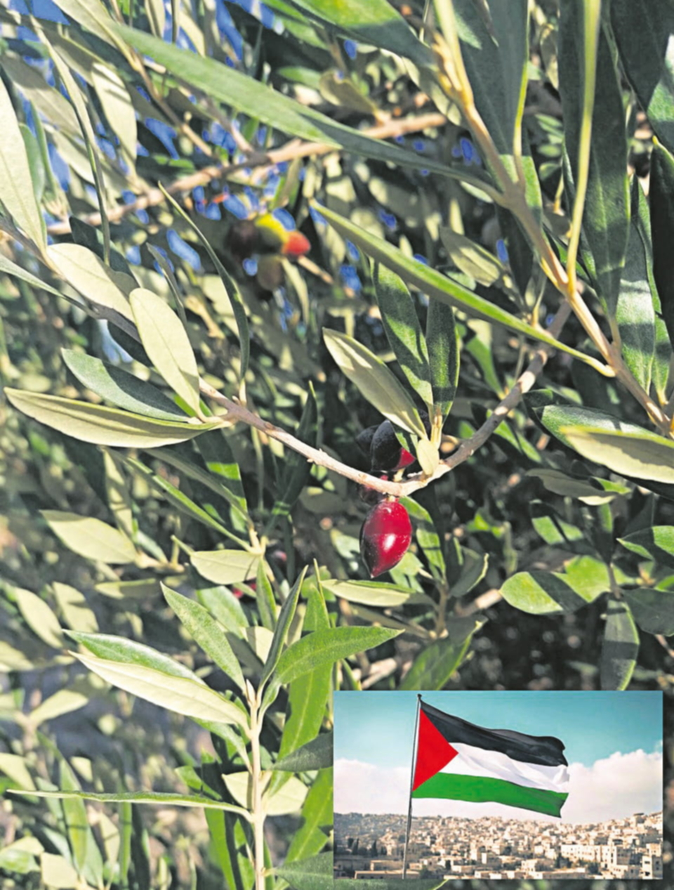 P10166311_AfdN_02_2026_DRUCK 19-1_rgb.jpg